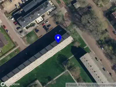 Lilium Raamdecoratie