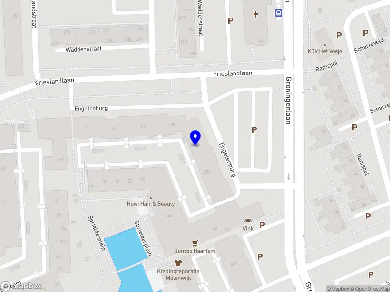MD visual Haarlem