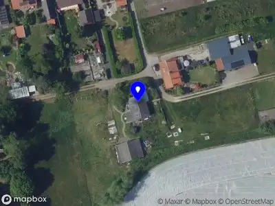 Paardrijden vanaf de grond Hoogerheide