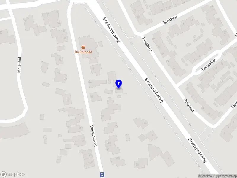 Nieuw bedrijf Diana van Raamsdonk