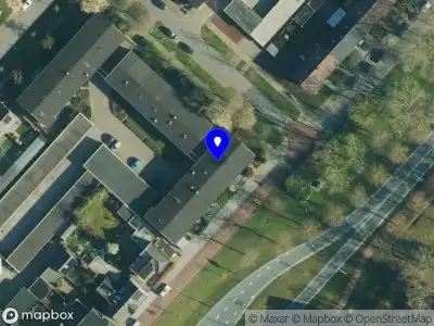 The Purrsuit of Happiness