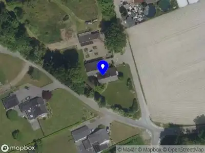 Kunst van de Riet Grashoek