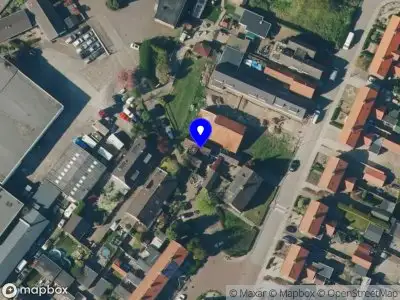 Nieuw bedrijf kleine kameleon