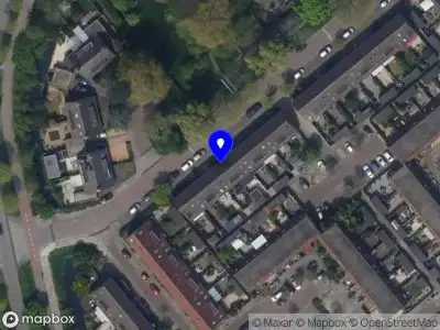 De boomverzorger Leiden