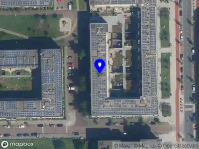 Nieuw bedrijf Purple 7 Moon