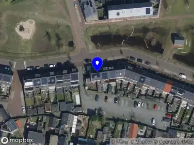 orthomoleculair met nicol