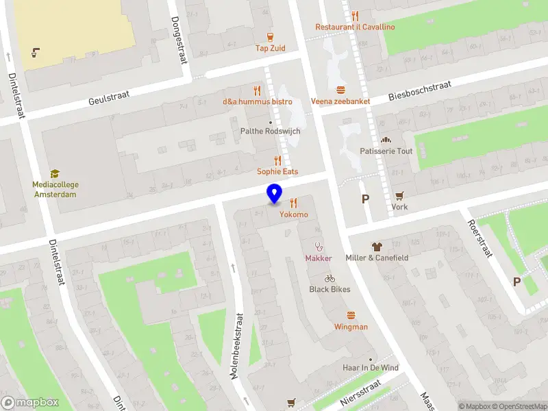 Holistic Health Lifestyle Amsterdam