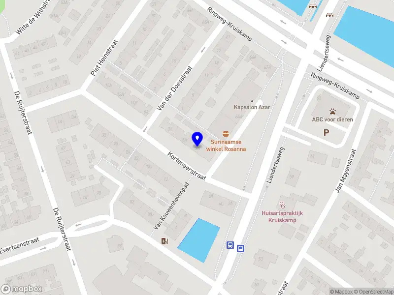 Nieuw bedrijf Soso Lobi Enterprises