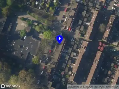 Maranta Kiwi Alphen aan den Rijn