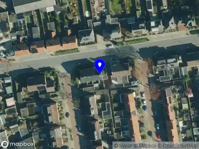 Driedflowers | D. van der Spek