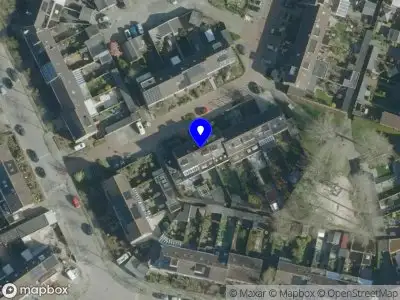 Dimitri Kurstjens Schilderwerken