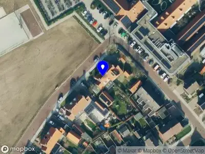 Nieuw bedrijf MonsteraPlantShop