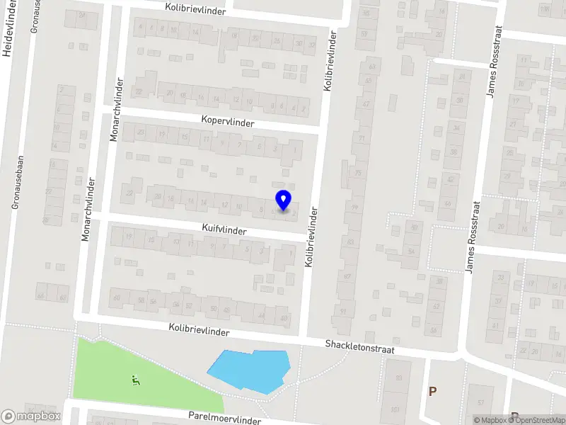 Marieke van de Pol Onderwijs