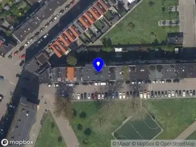 Beatriz Negreiros Freelance Writing Rotterdam