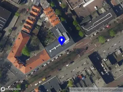 Britt van den Boogaard