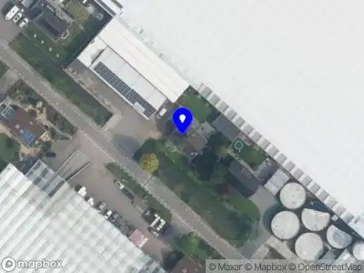 Kap Scindapsus B.V. Honselersdijk