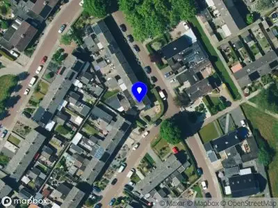 Dyon vitaal Dieren