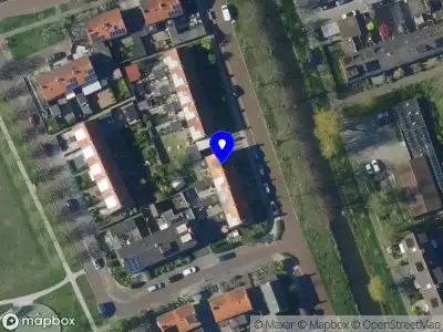 Nieuw bedrijf De hond Dinky