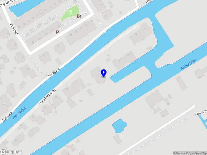 C.J. Gijsbers neuroloog Maasland