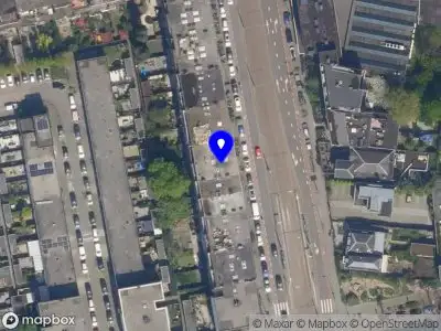 Julia Tavit Company Rotterdam