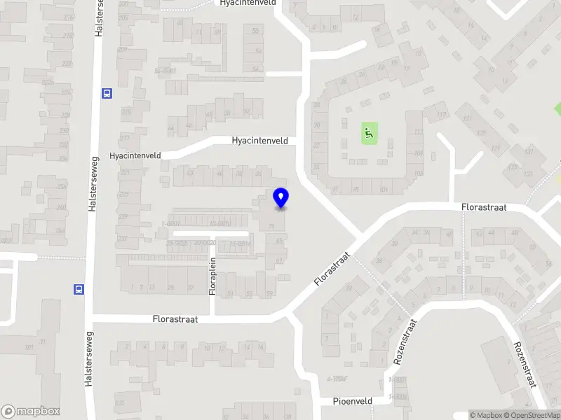 hajji services Bergen op Zoom