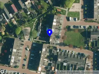 De social media Miep