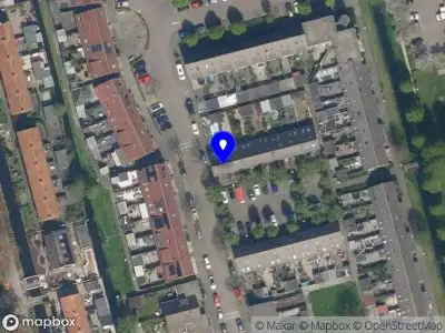 hamsteen Schoonhoven