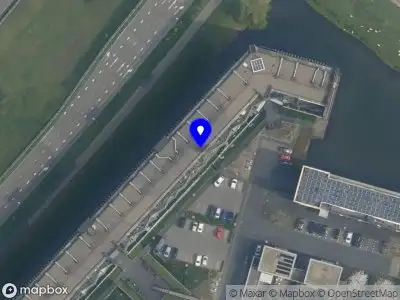 CT Language Consultant