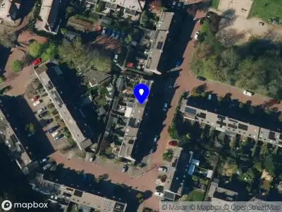 Nieuw bedrijf Paulien Zwiers Advies