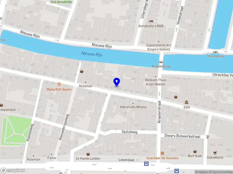 mca consulting Leiden