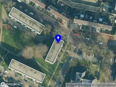 Celina Veenendaal Art & Photography