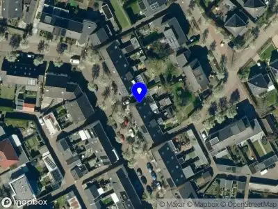 Wespennesten Bestrijding Achterhoek