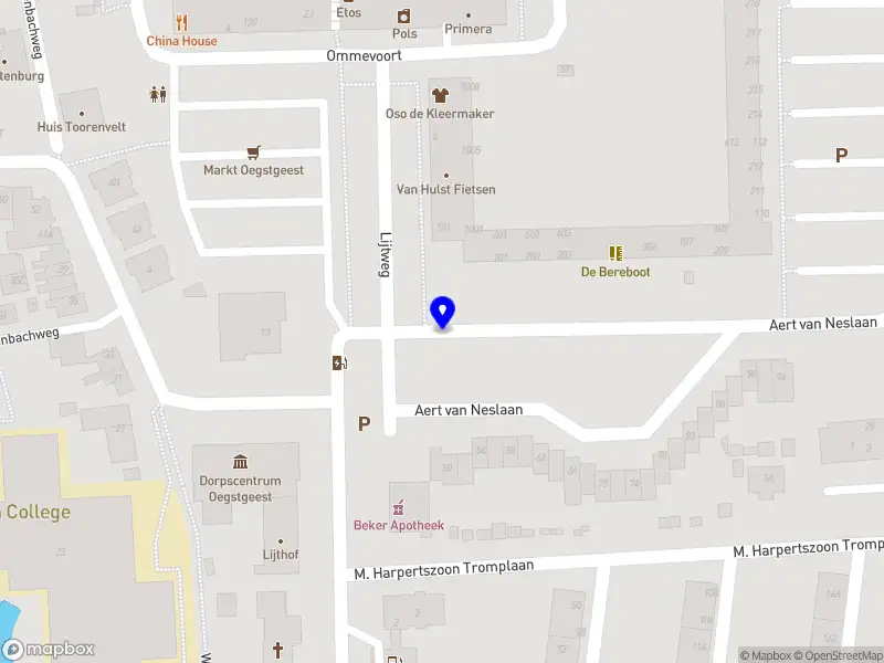 Nieuw bedrijf Cindy de Roode Photography