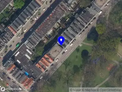 The Planthoarder Rotterdam