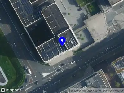 Lisanne van den Dungen