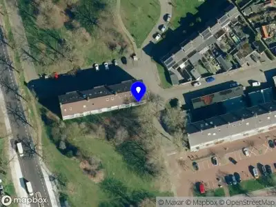 artedive Dieren