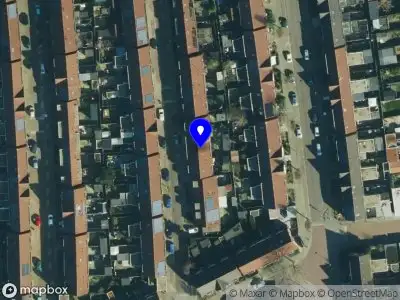 Bewuste Basis - Paard & Vrouw in Balans