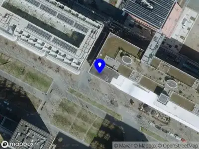 Amyrlin Bloemsierkunst Eindhoven