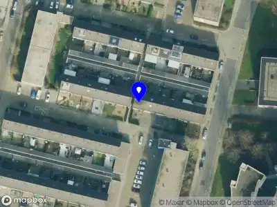 Darkrose Division Almelo