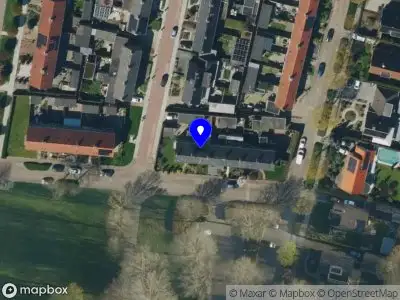 Betuws Bloemenmeisje