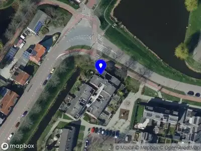 Signature Reef Corals