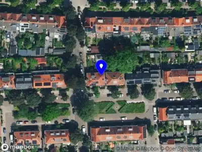 Van Sonsbeek brengt beweging Zutphen