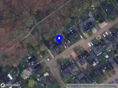 Celine Coaching & Consulting