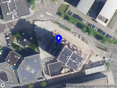 Hondenschool Nicky Jansen