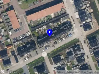 Wild and Alive Design