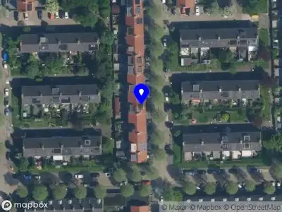 Darya Mitta Amsterdam