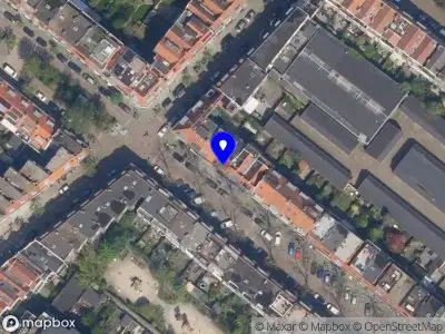 Roebie Starink Beeldend kunstenaar en Kunsteducatie Rotterdam