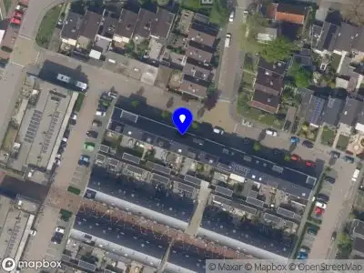 Amalia Blumen Saarland