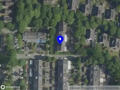 Rocoto Holandés Son en Breugel