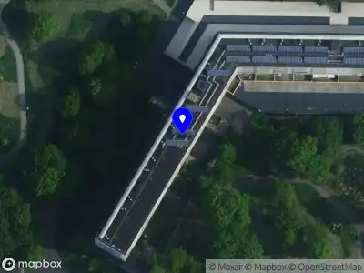 The Rawhaircollection